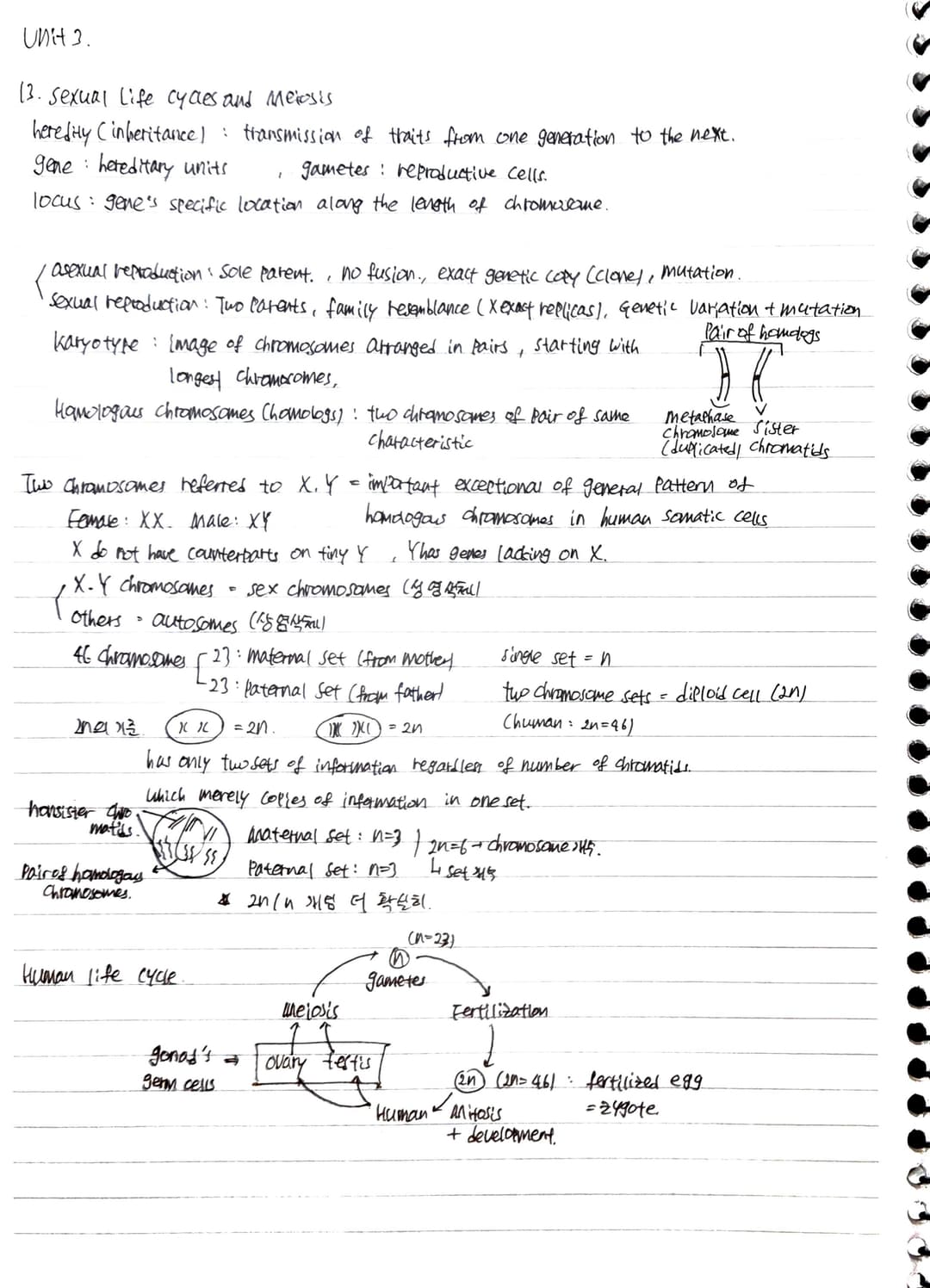 Unit 3 정리