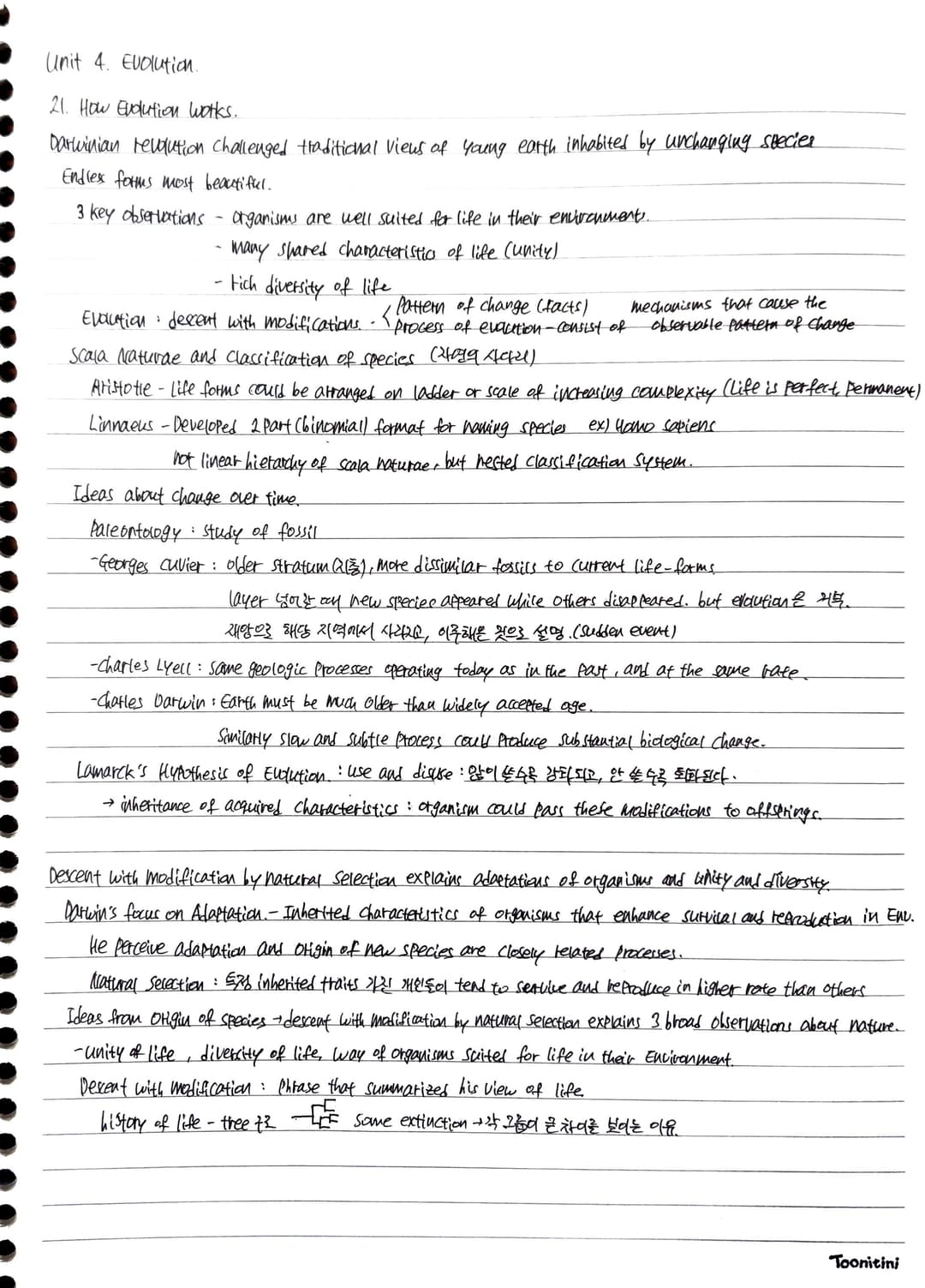 Unit 4 정리